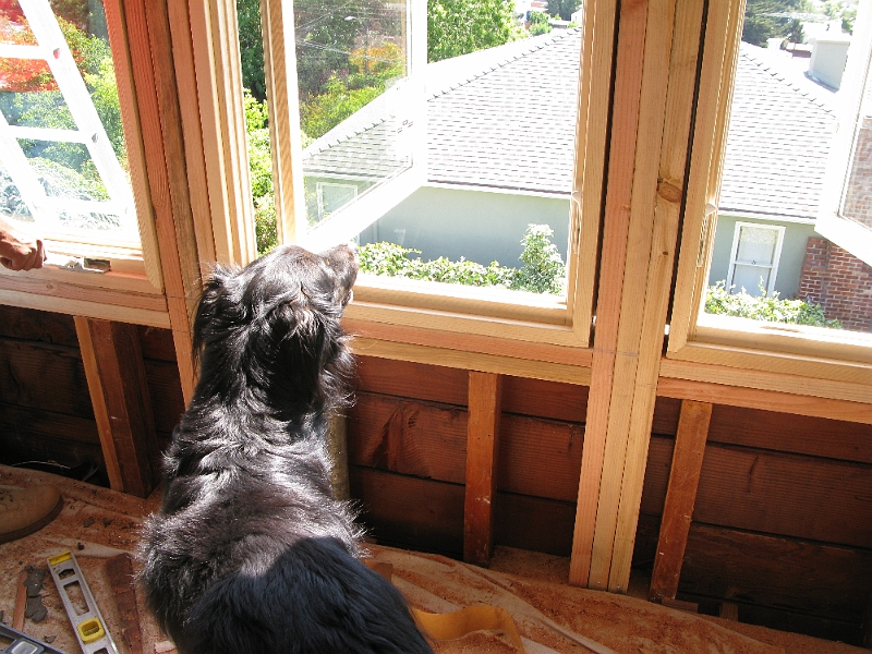 IMG_0385.JPG - I can see the dog park from here.