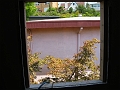 IMG_0375