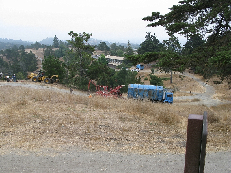 IMG_0404.JPG - Chopping down all the trees where they think there should just be grassland.