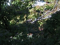 IMG_0527