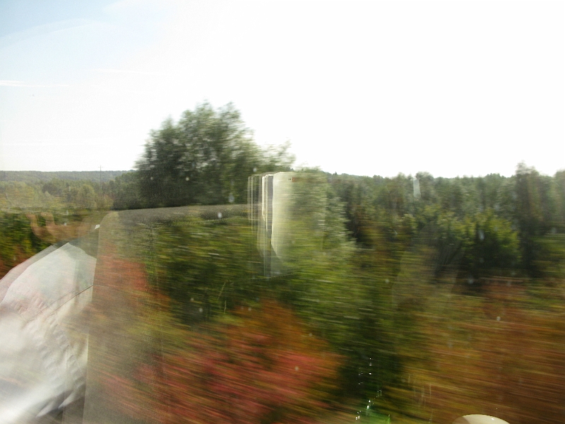 IMG_0711.JPG - At top speed it is almost dizzying to look at the landscape rushing by.