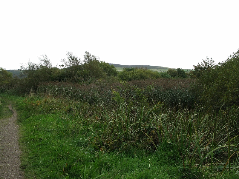 IMG_0880.JPG