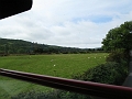 IMG_0805