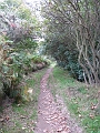 IMG_0874