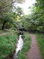 IMG_0876