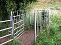 IMG_0881