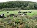 IMG_0883