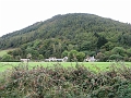 IMG_0889
