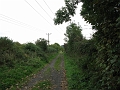 IMG_0894