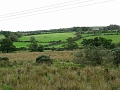 IMG_0908