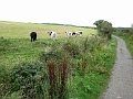 IMG_0909