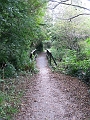 IMG_0913