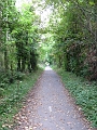 IMG_0919