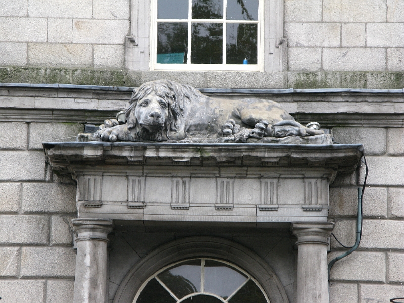 IMG_0973.JPG - Pretty morose looking lion.