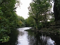 IMG_0969