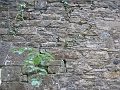 IMG_1037