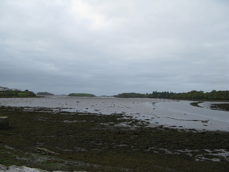 IMG_1054.JPG