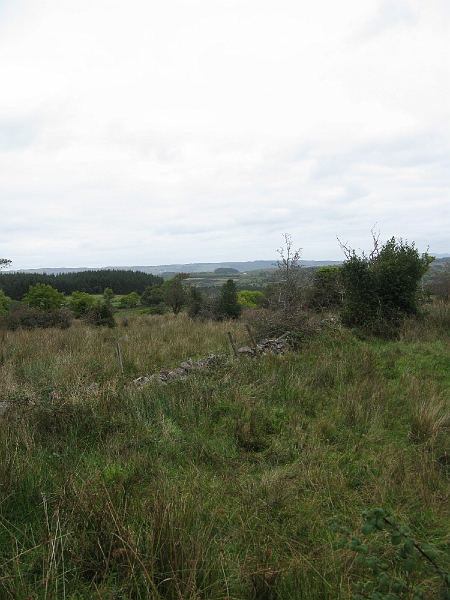 IMG_1073.JPG