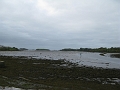 IMG_1054