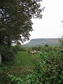 IMG_1067