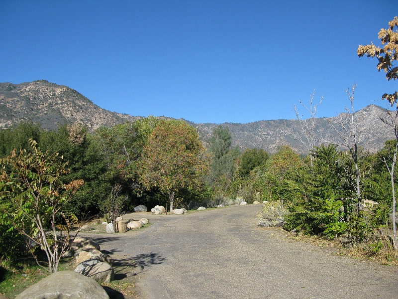 IMG_1114.JPG - The Kern river is just behind the treeline.
