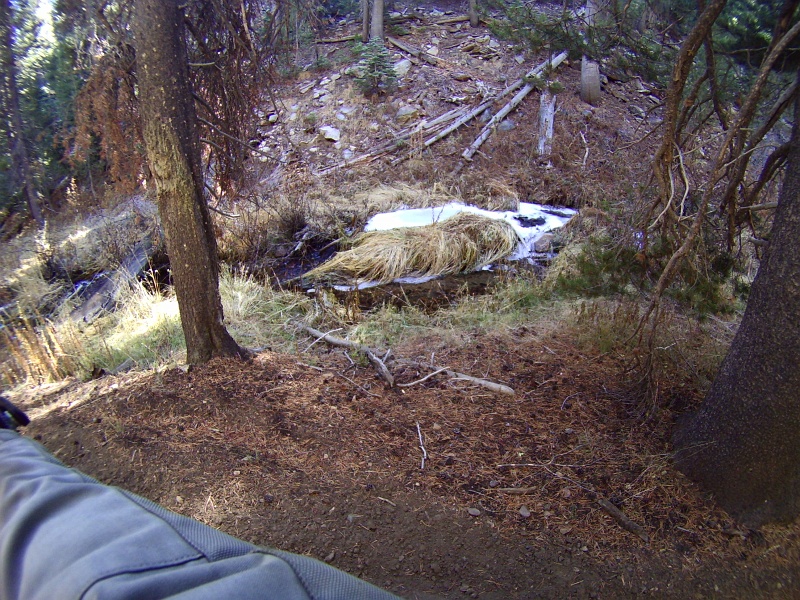 PICT1138.JPG - Frozen Creek trail, more like.