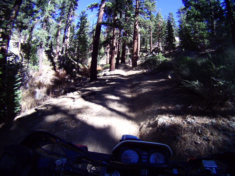 PICT1337.JPG - Resolution of the camera in still shot mode is pretty good. You can pick out the rider up ahead dead center.