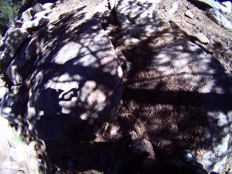 PICT1391.JPG