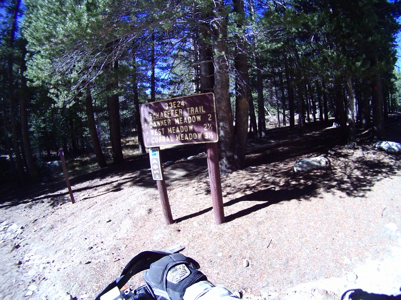 PICT1504.JPG - We had to pick the Schaeffer trail, even if it has one F too many in the spelling.