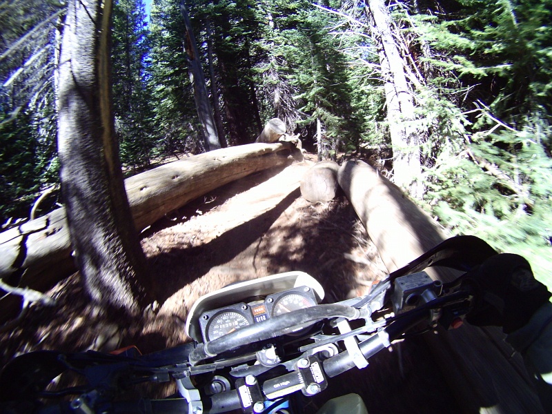 PICT1544.JPG - Trail goes where?