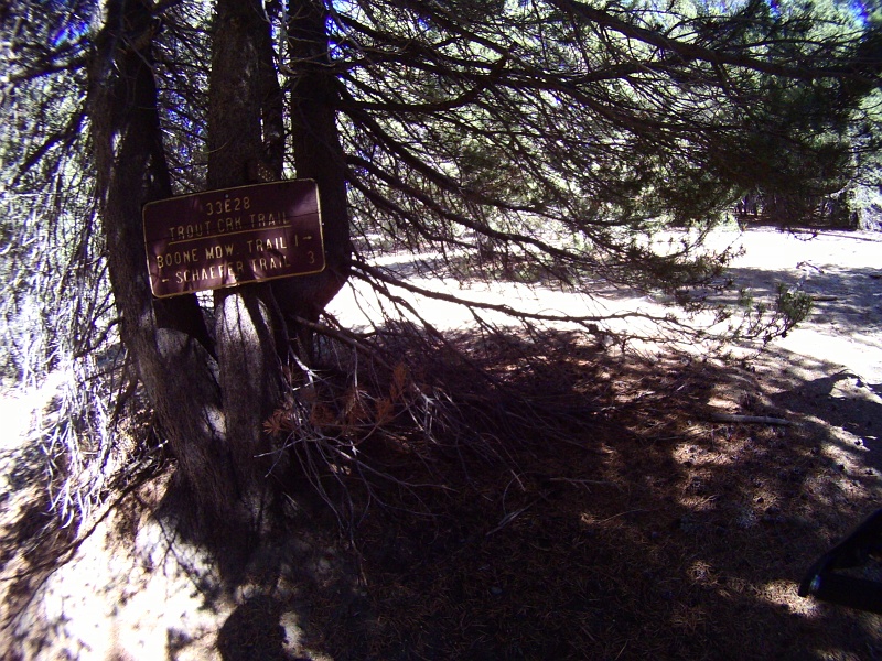 PICT1906.JPG - Schaeffer trail turned out to be a good one. Promised Schaefer an extra milkbone when I got home.