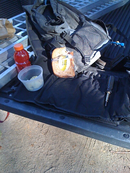 IMG_0105.jpg - Gas station sandwich. It didn't make me go blind.