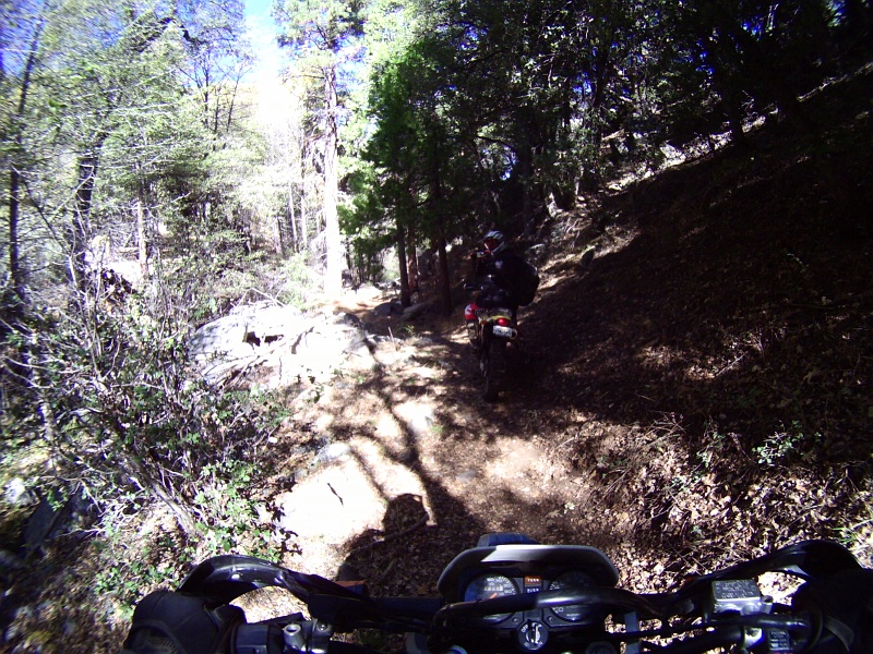 PICT0226.JPG