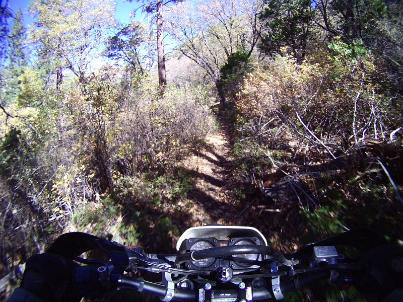 PICT0244.JPG