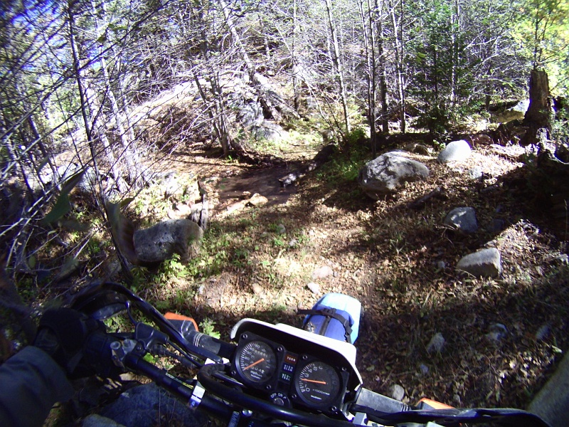 PICT0259.JPG