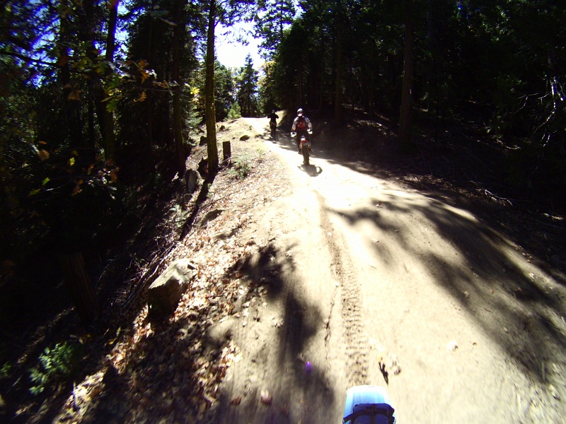 PICT0628.JPG