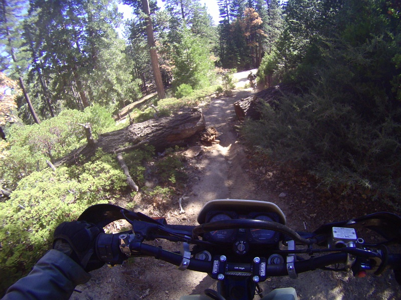 PICT1043.JPG - Dan actually hit that loose bit on the lower left and knocked it into the trail.