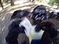 PICT0587