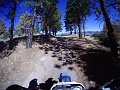PICT0742