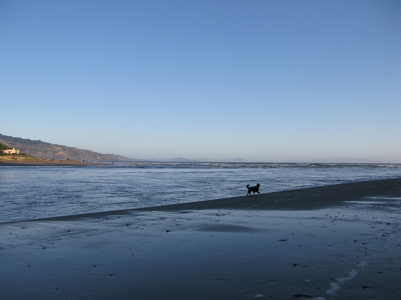 0650.jpg - The river outlet, the sea, and SF in the background. Interesting spot.