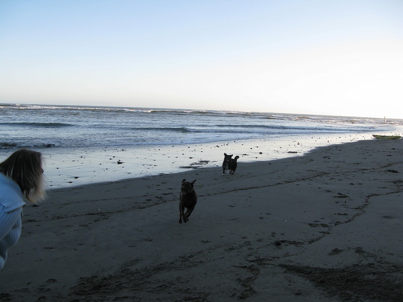 0657.jpg - Ears flying is always a good sign.