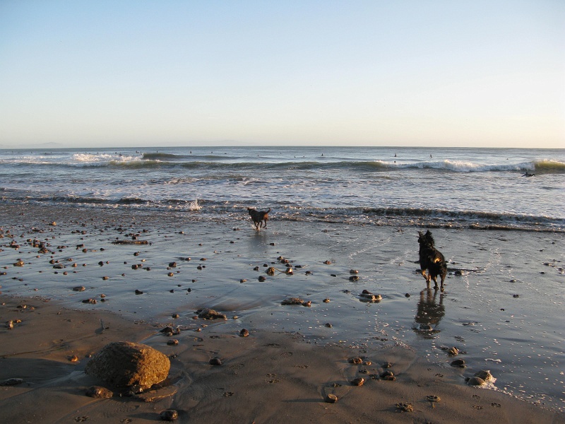 0667.jpg - Of course Schaef is not so rash as to actually run into the water.