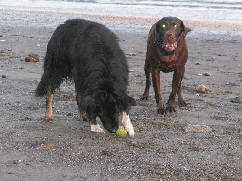 0722.jpg - When Schaefer get the ball, game time is over. So we went home.