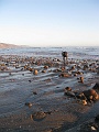 0690