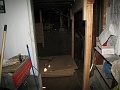 IMG_1251