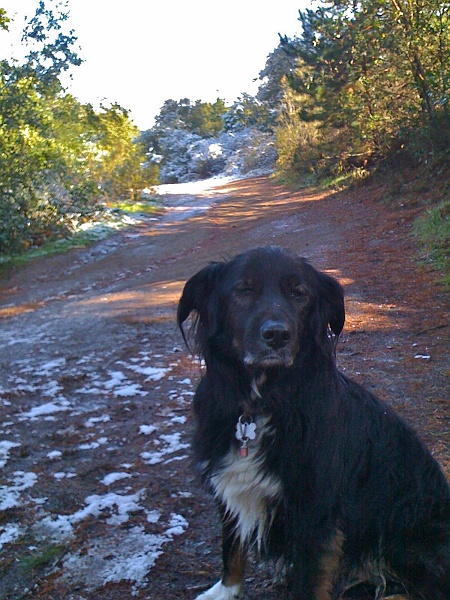 IMG_0156.jpg - Does his best Snoop Dogg impression.
