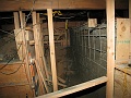 IMG_1299