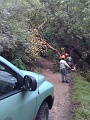 IMG_0164
