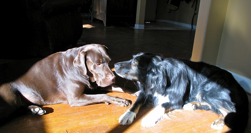 IMG_1315.jpg - You haz a smell.