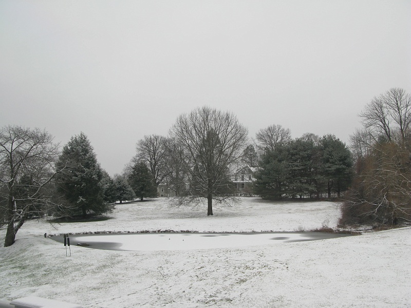 IMG_1381.JPG - Every season is a postcard out that window.
